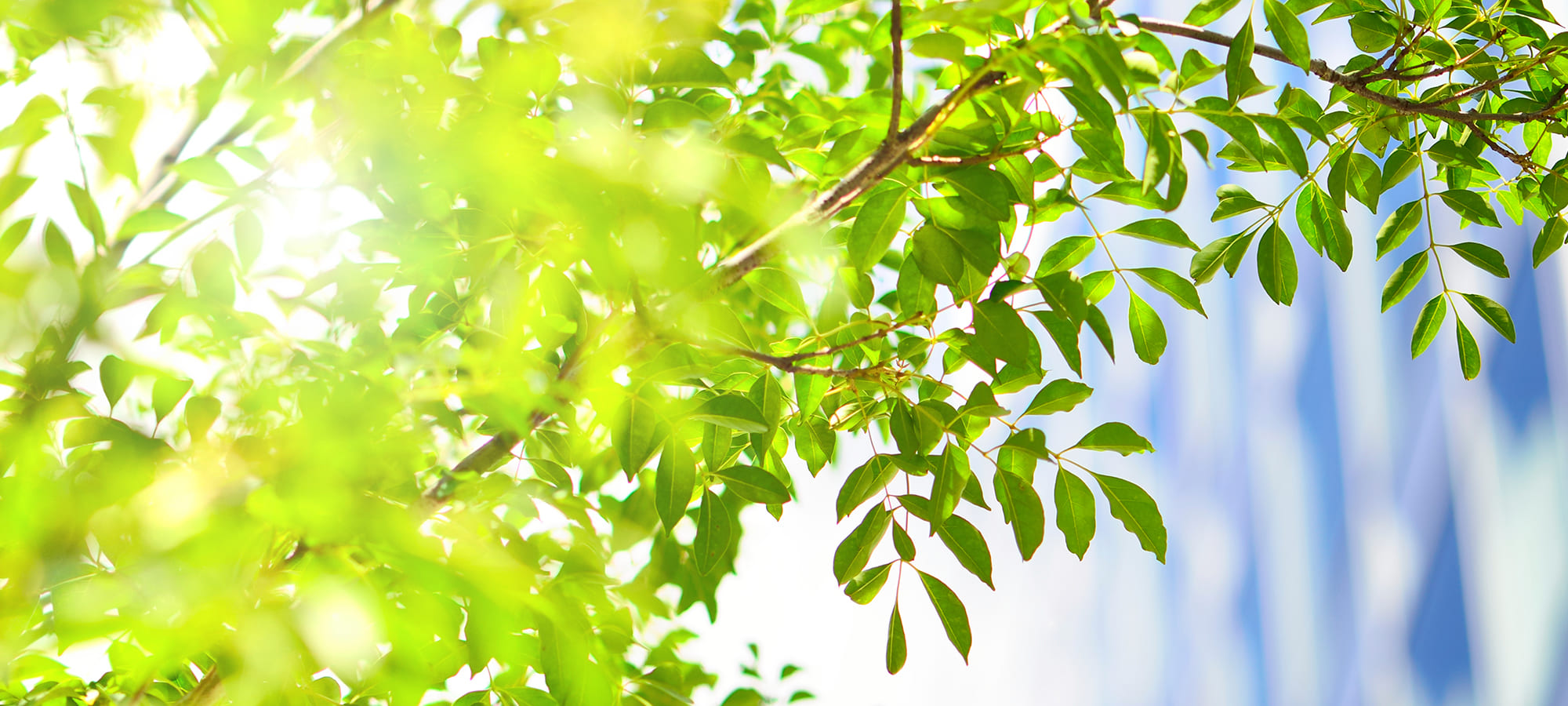 瑞江ひだまり整形外科・循環器内科